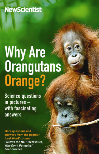 Why are Orangutans Orange?