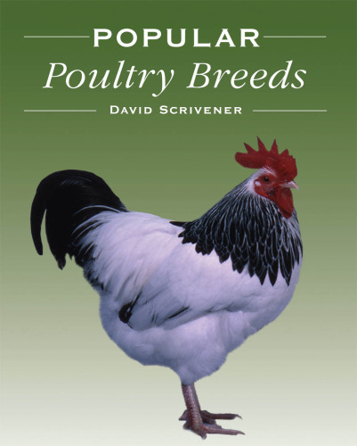 Popular Poultry Breeds