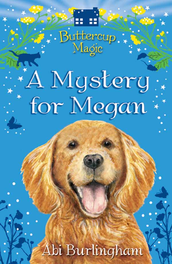 A Mystery for Megan