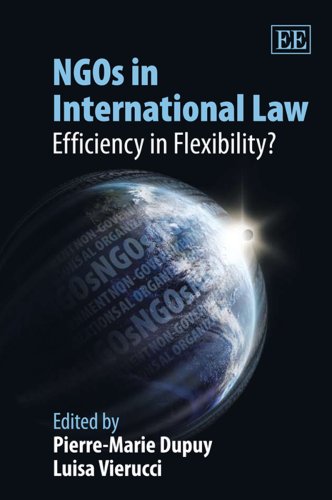 NGOs in International Law : Efficiency in Flexibility?.