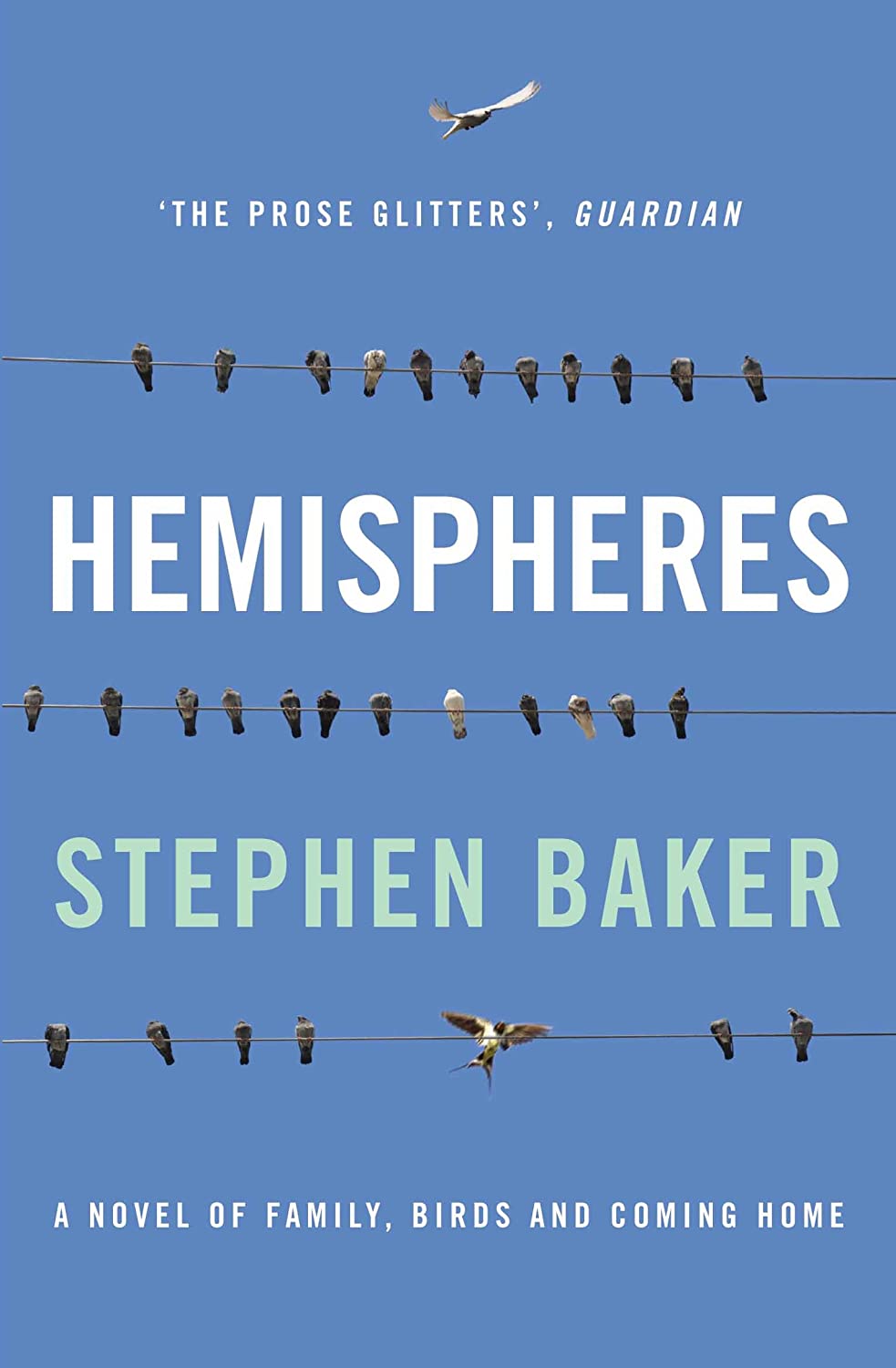 Hemispheres: A Novel of Family, Birds and Coming Home