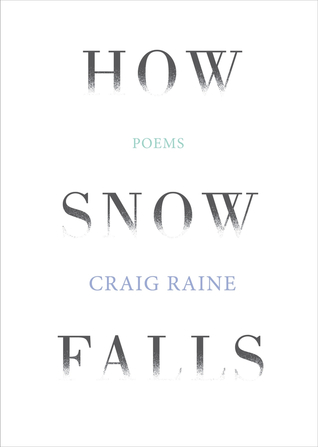 How Snow Falls