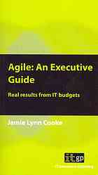 Agile : an executive guide : real results from IT budgets