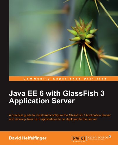 Java Ee 6 with Glassfish 3 Application Server