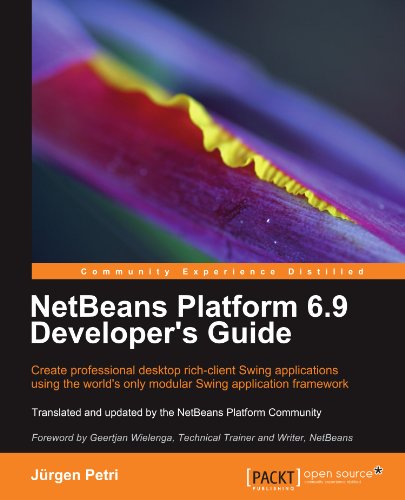 Netbeans Platform 6.9 Developer's Guide