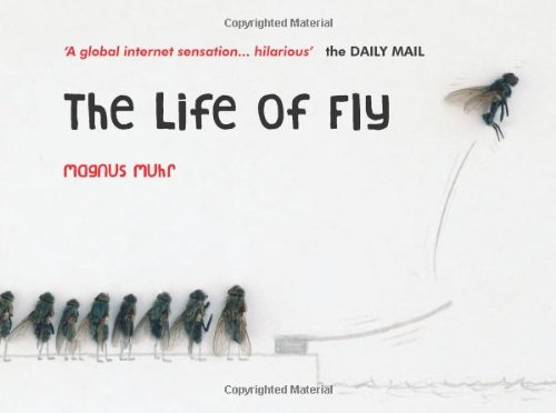 The Life of Fly