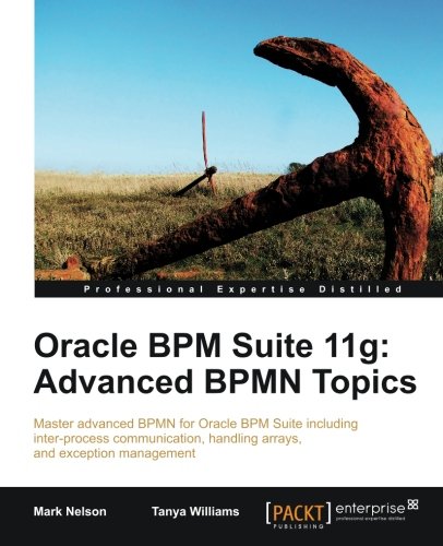 Oracle Bpm Suite 11g