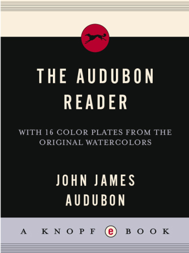 The Audubon Reader