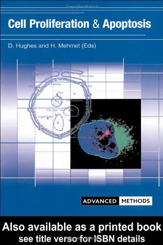 Cell Proliferation And Apoptosis