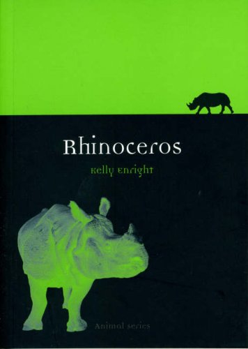 Rhinoceros