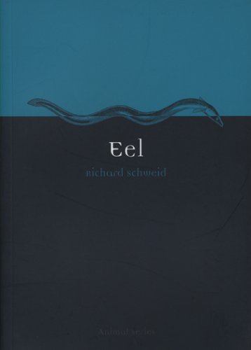 Eel