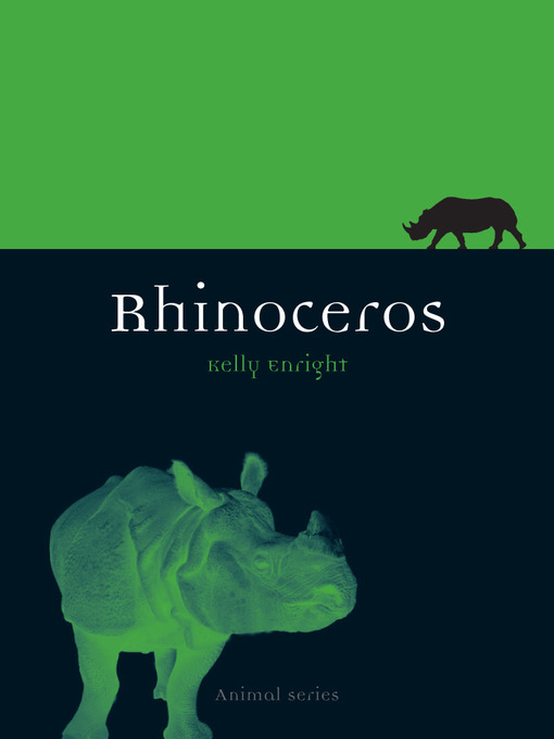 Rhinoceros