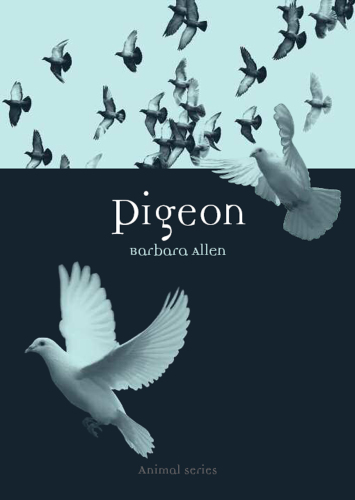 Pigeon