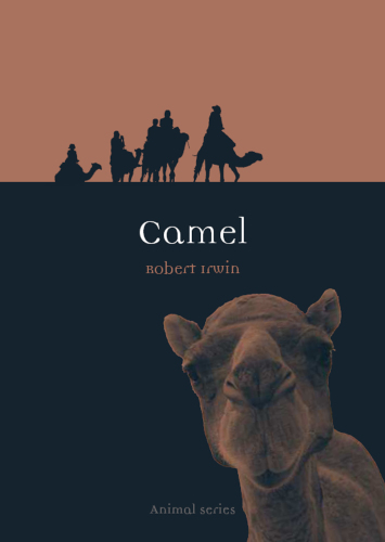 Camel