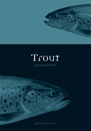 Trout