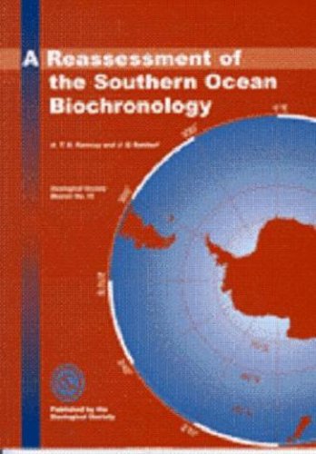 A Reassessment of the Southern Ocean Biochronology