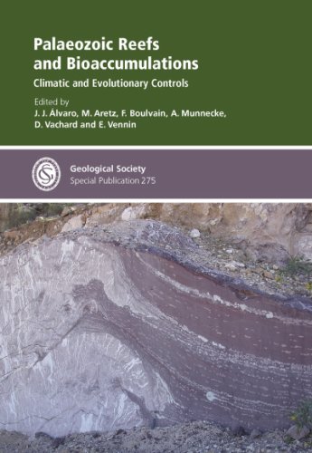 Palaeozoic Reefs and Bioaccumulations