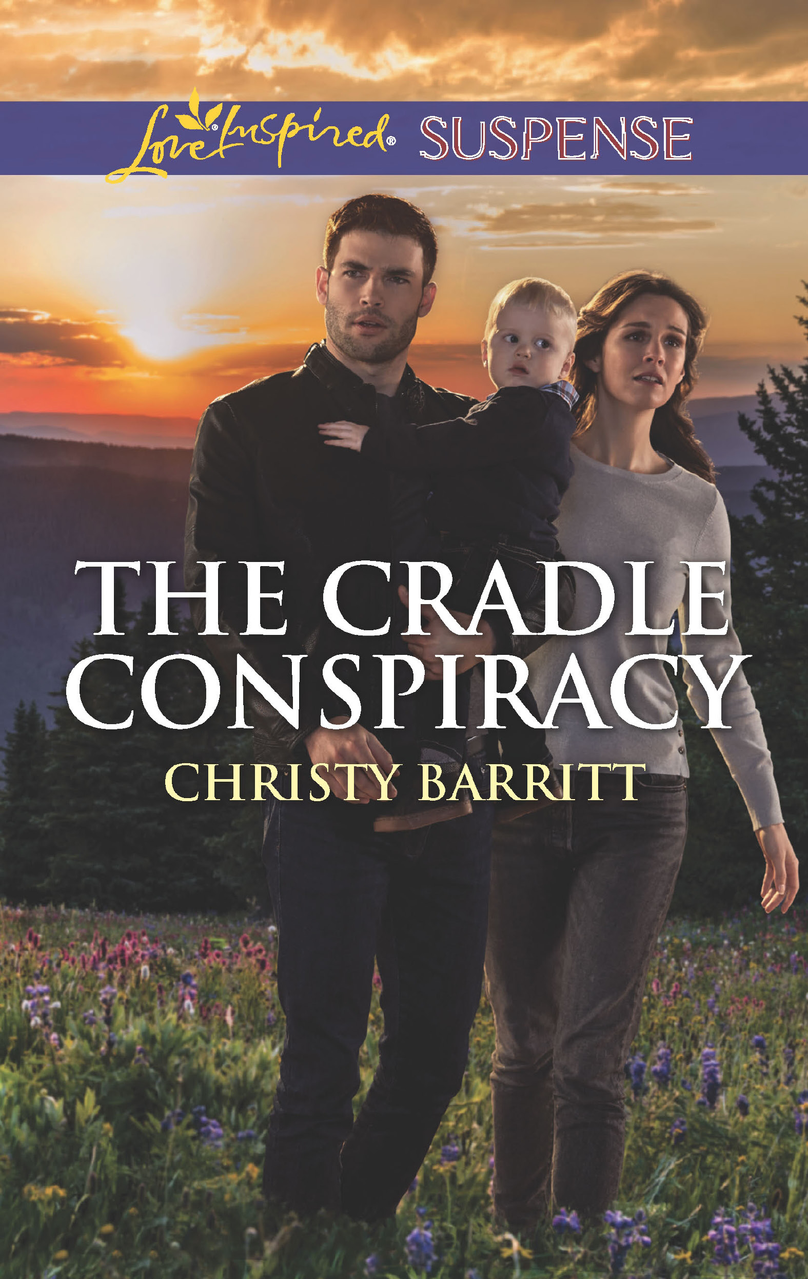 The Cradle Conspiracy/Top Secret Target