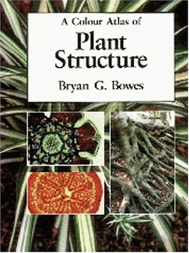 A Color Atlas Of Plant Structure