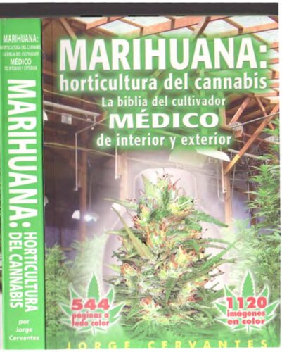 Marihuana