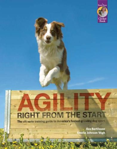 Agility Right from the Start