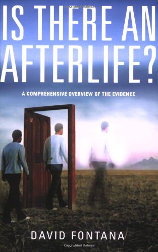 Is There an Afterlife?