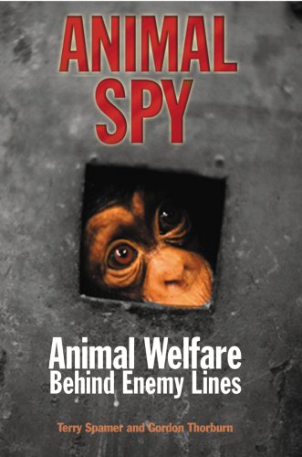 Animal Spy