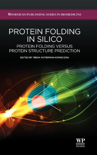 Protein folding in silico