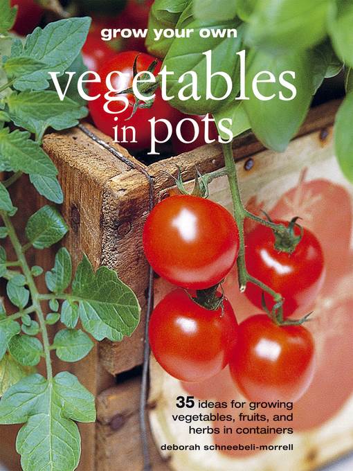 Grow Your Own Vegetables in Pots