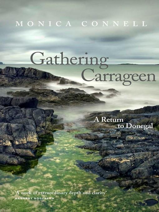 Gathering Carrageen