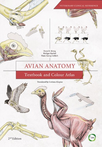 Avian Anatomy