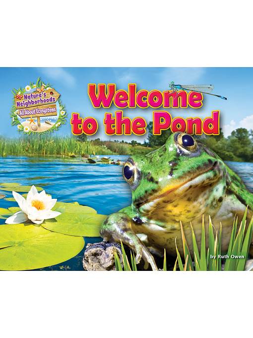 Welcome to the Pond