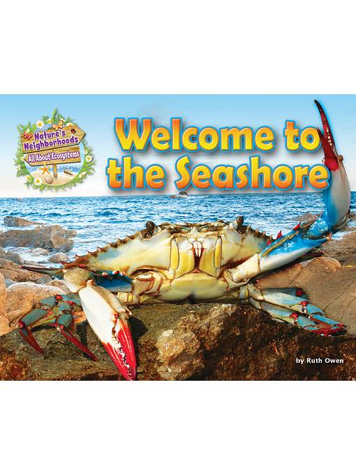 Welcome to the Seashore