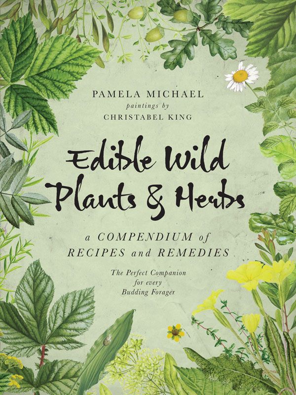 Edible Wild Plants &amp; Herbs