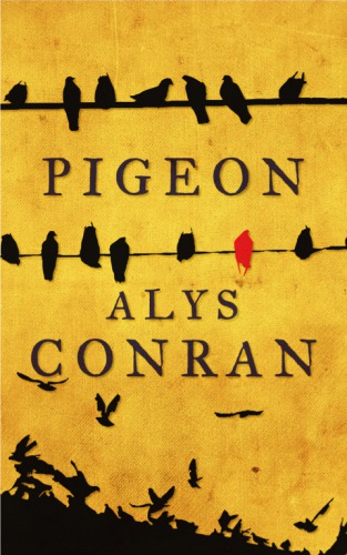 Pigeon