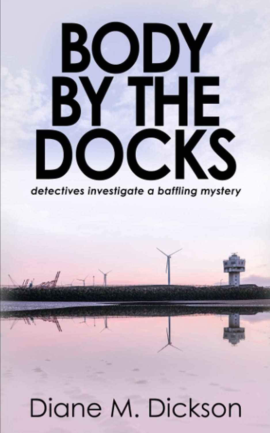 Body by the Docks: detectives investigate a baffling mystery