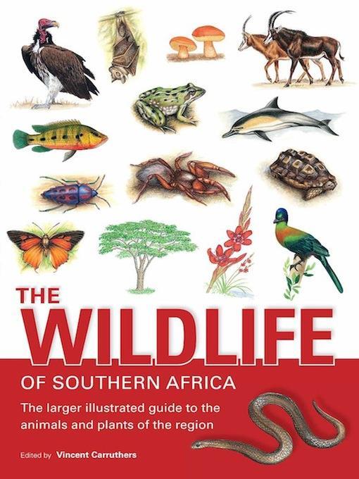 The Wildlife of Southern Africa