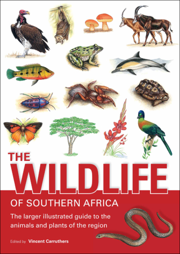 The Wildlife of Southern Africa