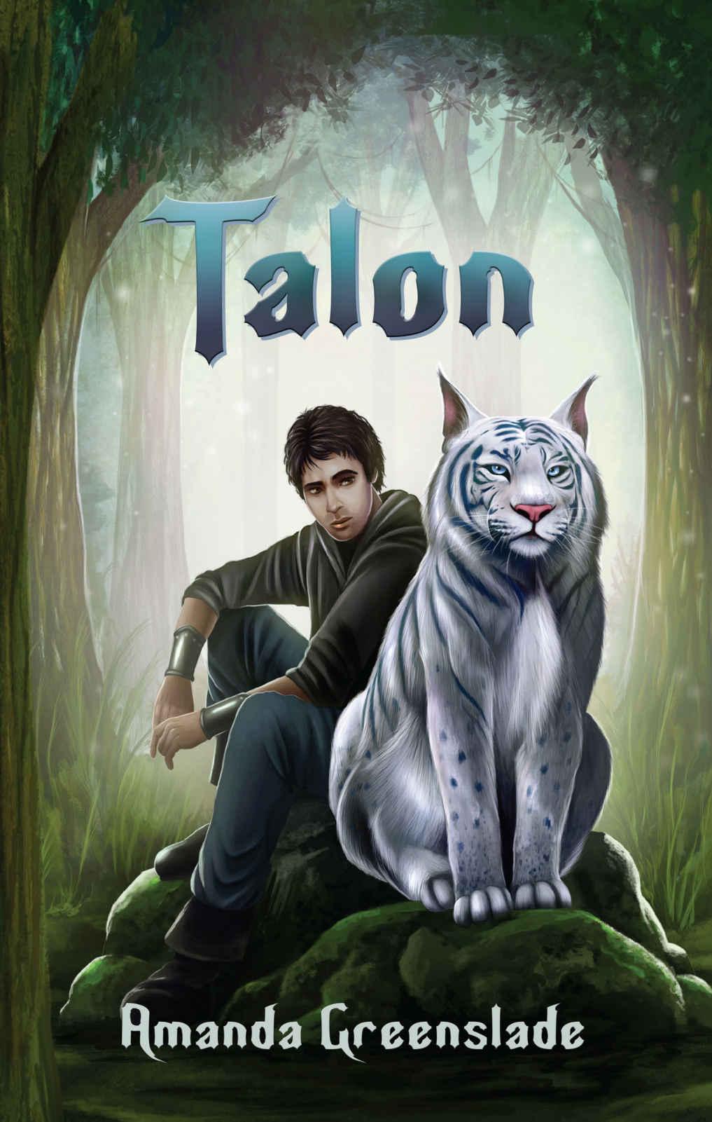 Talon : an epic fantasy adventure