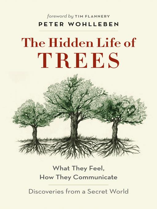 The Hidden Life of Trees