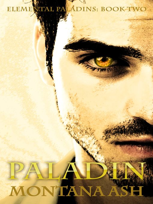 Paladin (Book Two of the Elemental Paladins series)