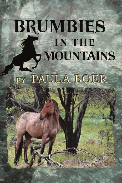 Brumbies in the Mountains: Book 5, The Brumbies Series