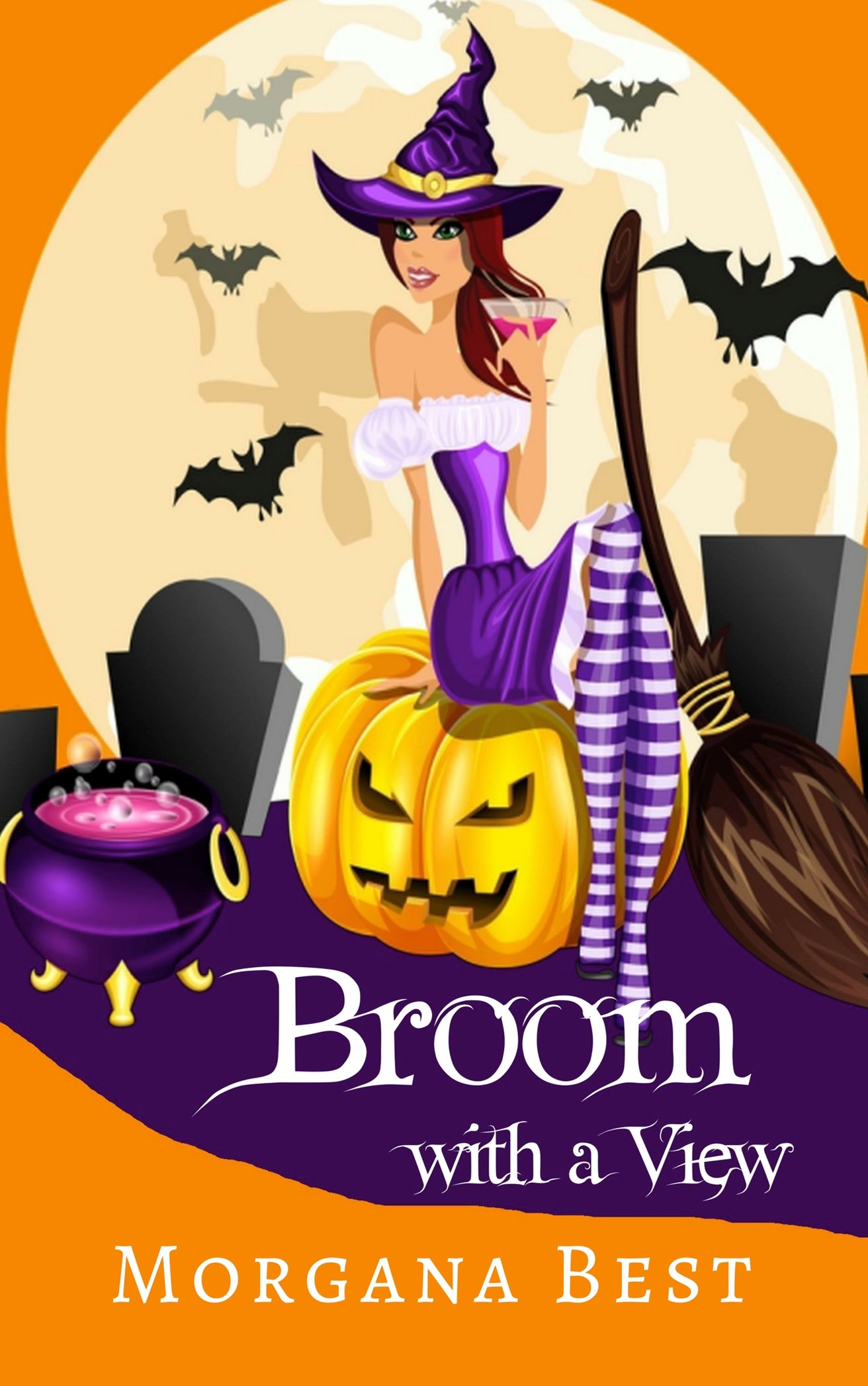 Broom With a View (Sea Witch Cozy Mysteries)