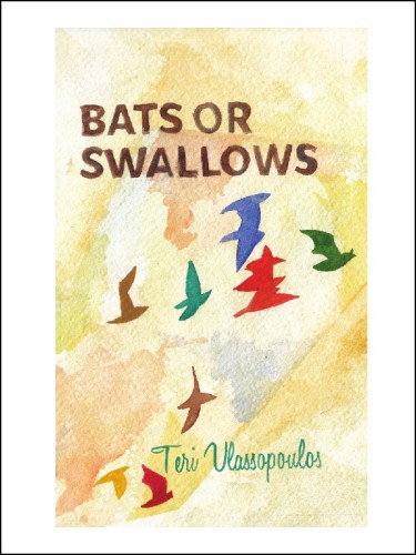 Bats or Swallows