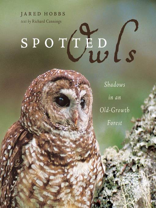 Spotted Owls