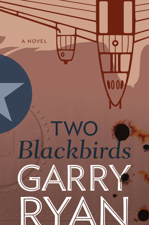 Two blackbirds : a novel