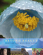 Beyond Beauty