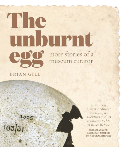 The unburnt egg : more stories of a museum curator