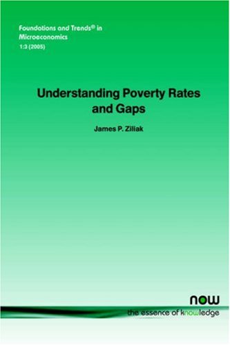 Understanding poverty rates and gaps : concepts, trends and challenges