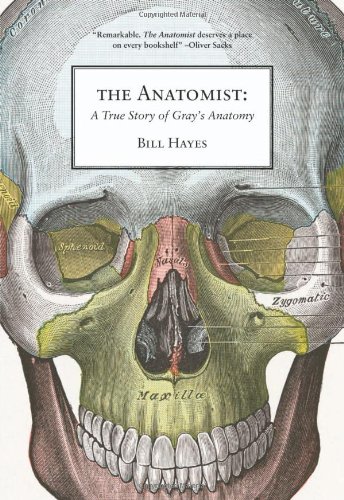 The Anatomist